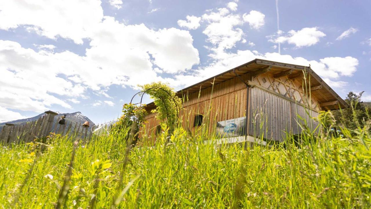 Stubaier Bauern Appartement Telfes im Stubai Zewnętrze zdjęcie